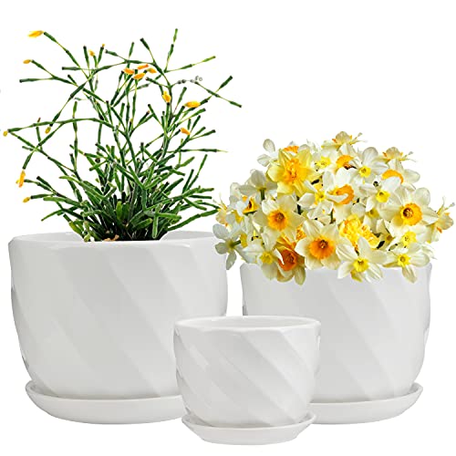 Plant Pots, 4.05 & 5.51 & 6.77 Flower Pot, Laerjin Ceramic Garden Plant Pots with Connected Saucer for Garden, Set of 3 in Different Sizes Plant Pots, 4.05" & 5.51" & 6.77" Flower Pot, Laerjin Ceramic Garden Plant Pots with Connected Saucer for Garden, Set of 3 in Different Sizes