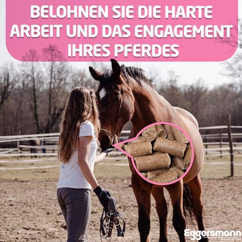 Eggersmann Lecker Bricks Himbeer für Pferde, 1-er Pack (1 x 25 kg)