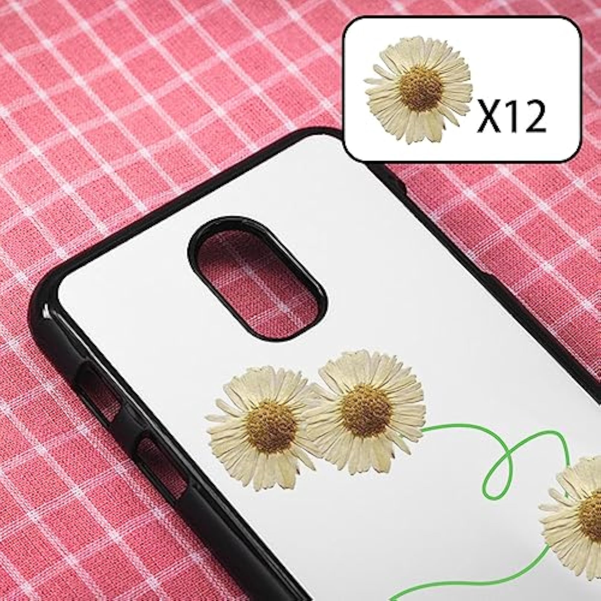 12x Dried Pressed Flowers DIY Art Crafts White
