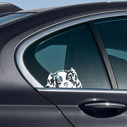 Image of WIRESTER 6 inch Clear Vinyl Decal Sticker Decoration for Car Window (Or Any Flat Surface) - Cavalier King Charles Spaniels Dog