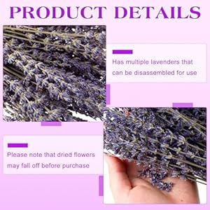 Jutom 12 Pack Total 2280 Stems Dried Lavender Bundle Organic Lavender Flowers Bulk Decor Natural Dried Lavender Bunches for DIY Arrangements Home Party Wedding Decorations, 15.5 Inches Jutom 12 Pack Total 2280 Stems Dried Lavender Bundle Organic Lavender Flowers Bulk Decor Natural Dried Lavender Bunches for DIY Arrangements Home Party Wedding Decorations 155 Inches