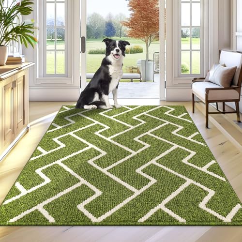 Biscpro Schmutzfangmatte 50x80 Fußmatte, Wasserdicht Schmutzabsorption Matte Fussmatte für Außen Innen Eingang, Garten, Teppich, küchenteppich