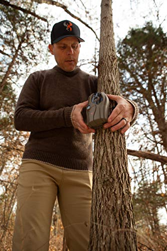 Wildgame Innovations Switch Lightsout 12 Megapixel Invisible Flash Trail Camera | Game Camera With 36 Invisible Black Leds & Hd Video Capability, Brown, One Size (Ez12B2-20) #TOP2