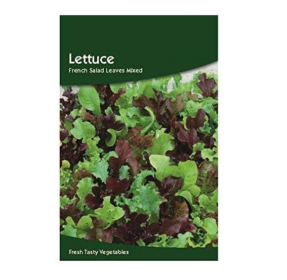 VibeX Lettuce French Salad Leaves Mix Seeds-500 Seeds (B0BBGQP88R) Amazon Price History, Amazon Price Tracker