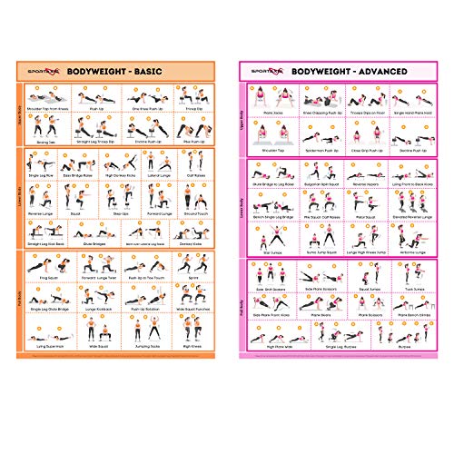SPORTAXIS-No Equipment Laminated Bodyweight Workout Posters with Coloured Illustrations-Home Workout Poster for Men and Women-Basic and Advanced Home Training Wall Posters -18