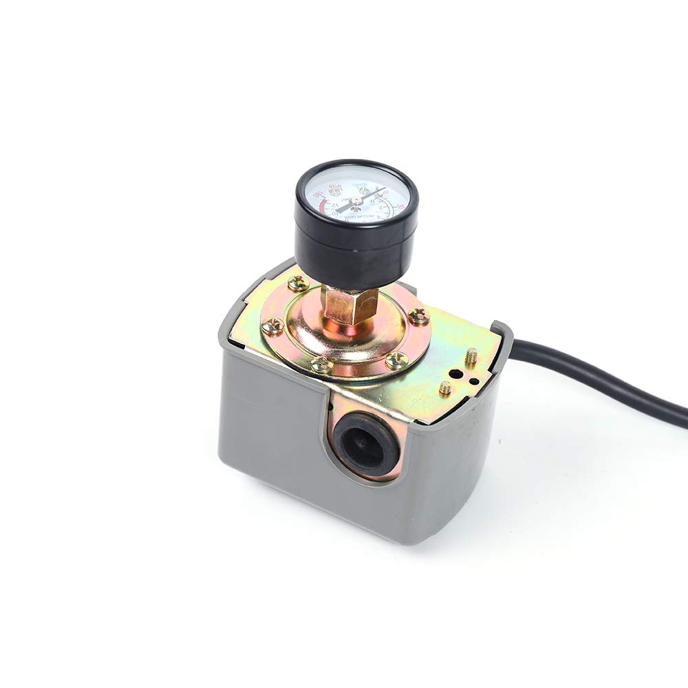 Pompe Centrifuge Jardin Avec 1300W Station D'Eau Domestique Avec Pressostat 9,8Bar 4000L/H Installation D’Eau Domestique Pompe Surpresseur
