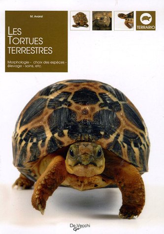 Télécharger Les tortues terrestres livre En ligne
