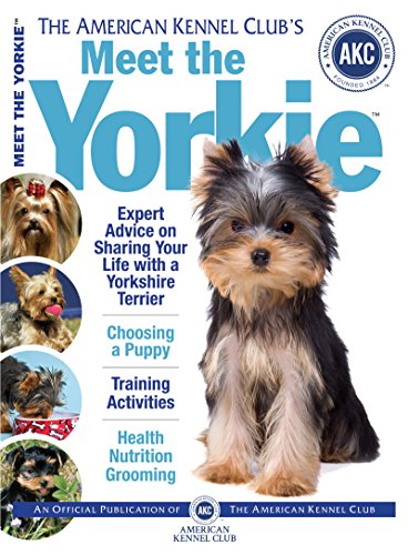 the yorkie