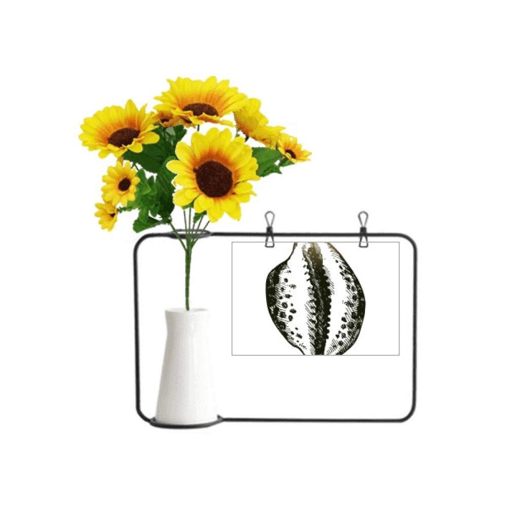 Carte de bénédiction tournesol noir pour vos messages de vœux chaleureux