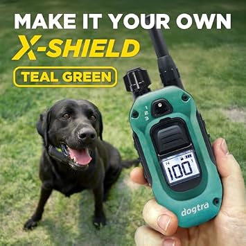 Dogtra 280X E-Collar with Remote - [X-Shield Front Plate - Teal Green] 10 lbs+, 1/2 Mile Range, LED Light, 100 Levels for Stubborn Dogs