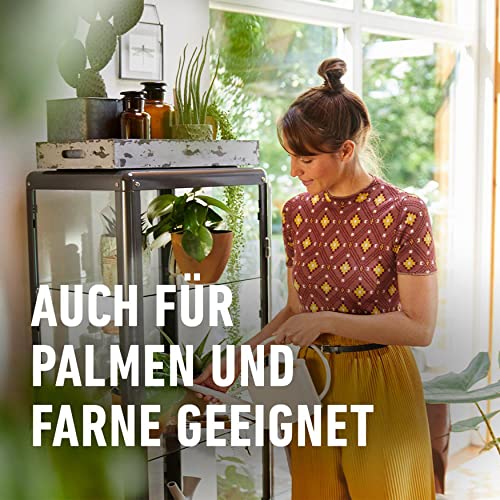Düngestäbchen für Grünpflanzen und Palmen mit Guano von Compo