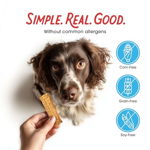 Farmland Traditions Dogs Love Chicken Jerky Dog Treats, Premium Two-Ingredient Dog Jerky with USA-Raised Chicken, 3-Pound Bag