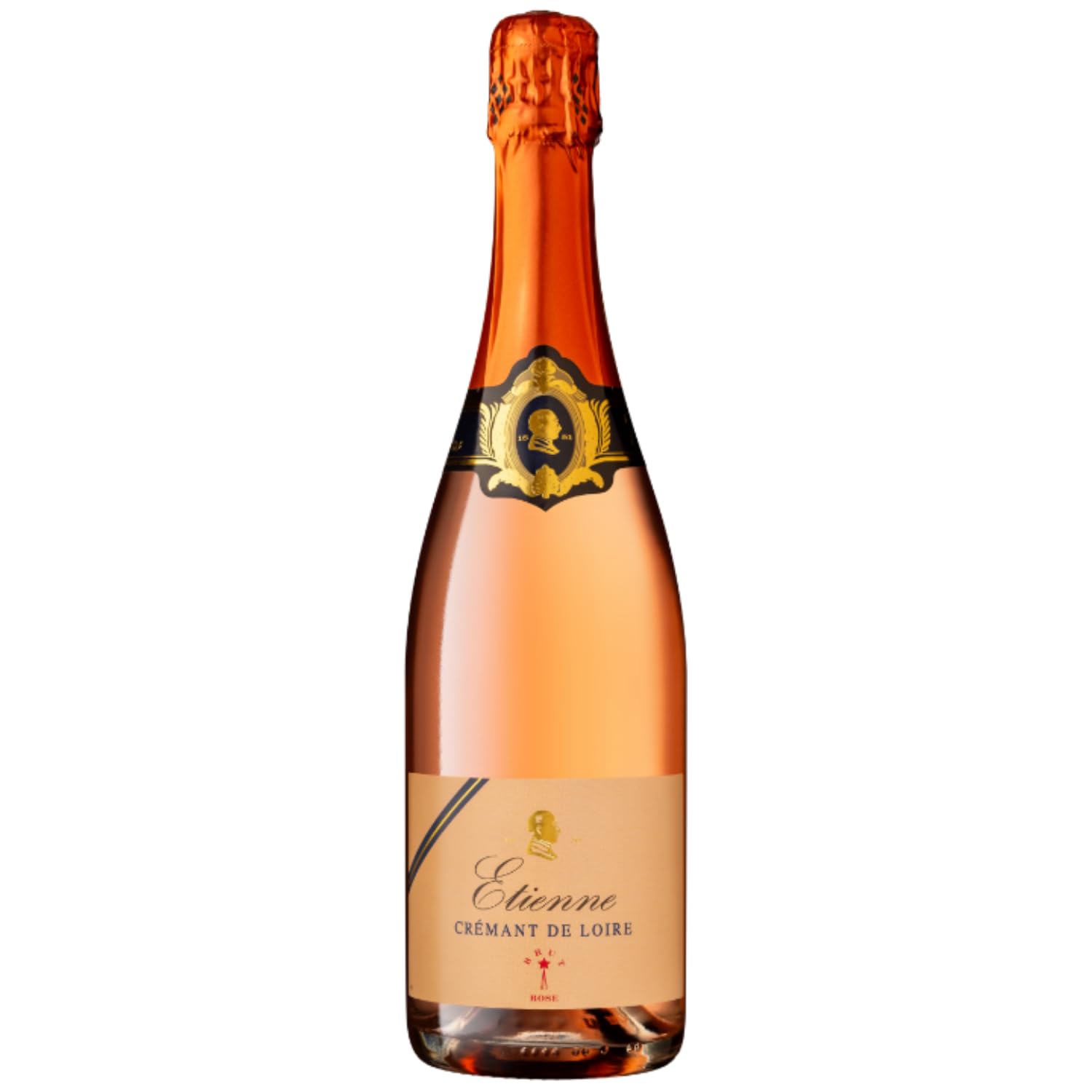 Bouvet Ladubay Etienne Brut Rosé Crémant de Loire AOC Frankreich Inkl. FeinWert E-Book (6 x 0,75l)