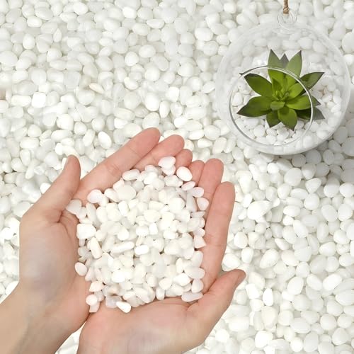 3/8 Inch Polished Decorative Pebbles River Rocks for Indoor Plants Succulents Planters Vases Fish Tank Aquarium Gravel & Landscaping Snow White 3LB