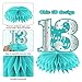 Teal Silver 13th Birthday Decorations Honeycomb Centerpieces for Girls, 8Pcs Breakfast Blue 13 Year Old Birthday Table Centerpieces Party Supplies, Teal Blue Thirteen Bday Table Topper Sign Decor