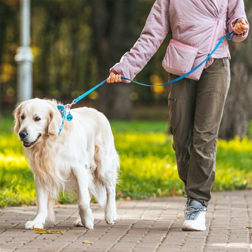 3 Stück Welpenhalsbänder mit Leine,Hundehalsband und Leine,Hundehalsband kleine Hunde, Welpen Zubehör Schnallenhalsband Verstellbares Weich Nylon Haustier