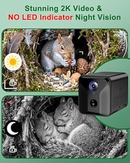 KinetCam Smart Squirrel Box with Camera,Predator-Proof,2K HD Wi-Fi Pet Watching Cam for Squirrel House, Auto Detect & Notify, Night Vision, APP Control, Squirrels Houses for Outside Nesting