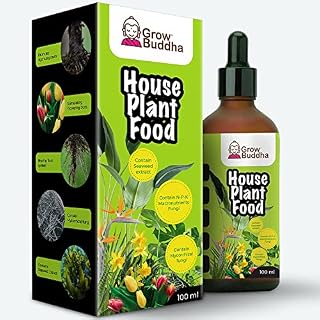 Houseplant Food Fertiliser Liquid Concentrated Fertiliser for Healthy Houseplants 100 ml  Vigorous growth with strong root  Suitable for all kinds of indoor and outdoor Houseplant