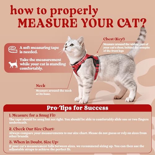 image for rabbitgoo Cat Harness and Leash for Walking, Escape Proof Soft Adjusta