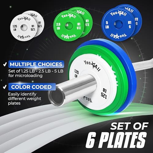 Image of Yes4All Fractional Weight Plates Set, Available In Steel And Rubber, Set of 2 /4 /6 Plates in 1.25LB, 2.5LB, or 5LB Sizes, Micro Change Plates for Dumbbell and Olympic Barbell Weightlifting