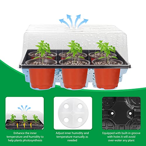 Bonviee Seed Starter Tray With 4 Inch Nursery Pots, 5-Pack Seedling Starter Kits With Humidity Dome (30 Cells Total Tray) And 10 Pcs Labels Mini Greenhouse Germination Kit For Seeds Growing Starting #TOP2