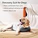 pangdi Recovery Suit for Dogs, Dog Surgery Suit Male Neuter Female Spay, Dog Onesie for Surgery Small and Large Dog Surgical Suit, Grey, M