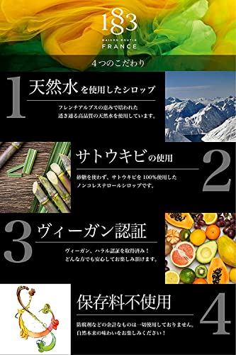 1883 MAISON ROUTIN ルビーチョコレートシロップ 1000ml