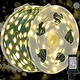 WATERGLIDE Extra Long 328 FT Fairy String Lights, 1000 LED Outdoor Green Wire...