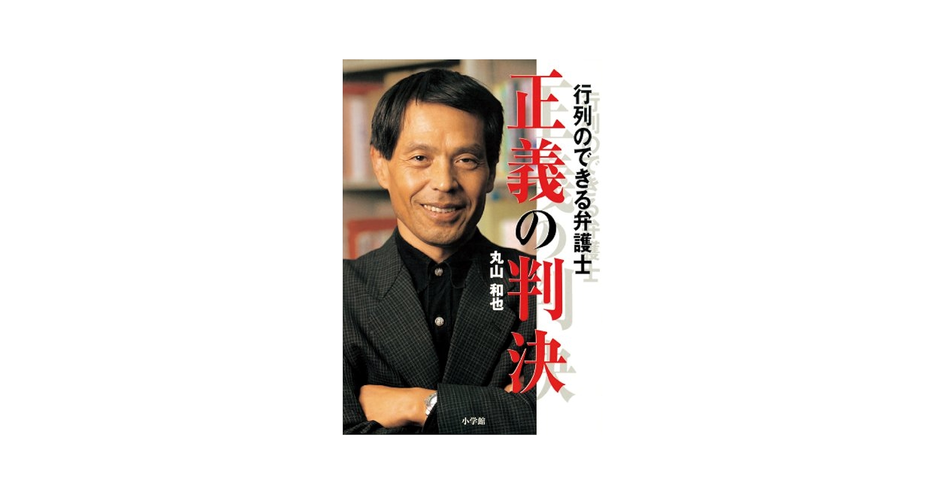 Amazon.co.jp: 行列のできる弁護士 正義の判決 eBook : 丸山和也: 本