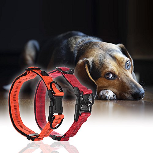 Festnight Strong Durable Dog Collar Dual D-ring Nylon Comprimento ajustável Tiras reflexivas Confort