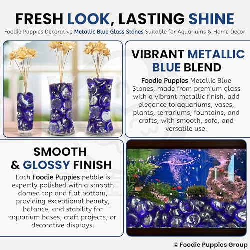 Image of Foodie Puppies Flat Glass Clear Stone (400gm, Metallic Blue) (2cm - 2.5cm) for Aquariums, Fireplace, Firepit Glass for Indoor and Outdoor, Vase Filler, Hydroponics Plants, Home Decor and DIY Craft