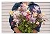 David's Garden Seeds Wildflower Columbine McKana Giant COL113IV (Multi) 500 Open Pollinated Seeds