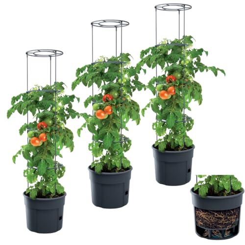 DTU24 3X Blumentopf Tomatentopf Topf für Tomatenpflanzen 18L Tomatenzüchter Gesamthöhe 127 cm Pflanzen-Aufzucht-Turm mit Rankhilfe Rangitter (3 Stück, Ø 35 cm)
