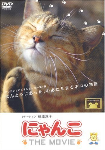 にゃんこザムービー 516GwjL3MHL.jpg