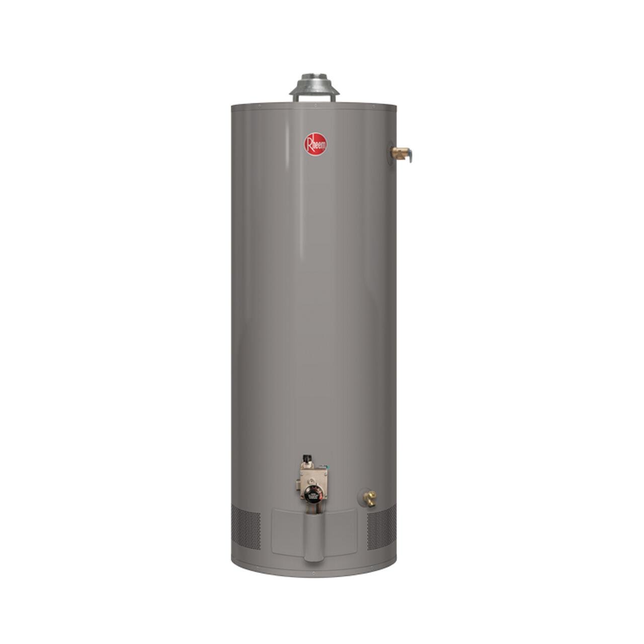 Buy Rheem 22V50F1 Natural Water Heater, 50 Gallon Online at desertcartINDIA