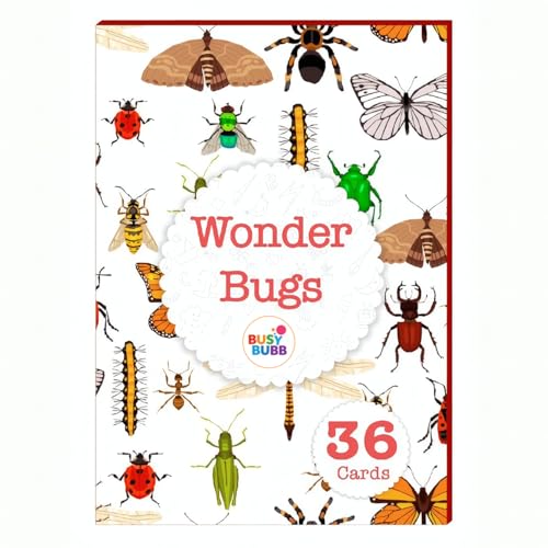 Image of Wonder Bugs | 36 Laminated Anti-Glare Cards | Montessori Inspired Fun & Easy to Learn Toys for Kids
