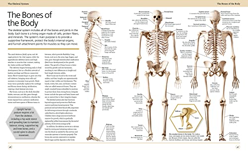 Illustrated Human Anatomy: The Authoritative Visual Guide To The Human Body #TOP4