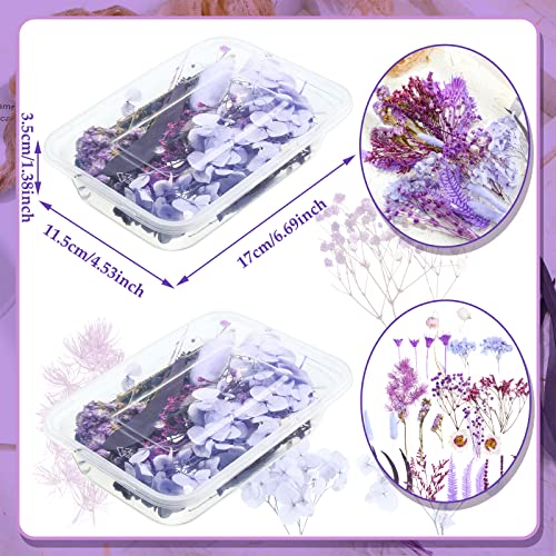 Flores secas moradas para manualidades y decoración 2 cajas miniatura 3
