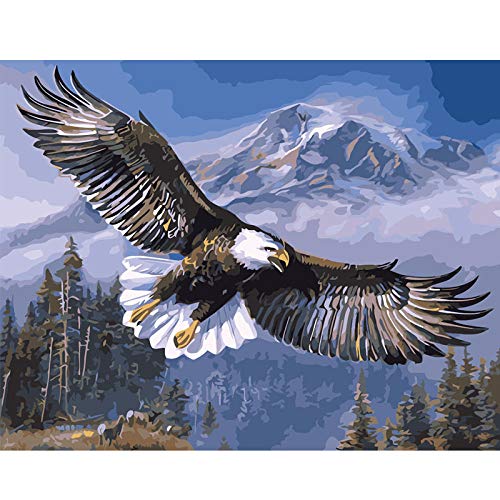 Peinture par numéros aigle en vol toile acrylique avec cadre encadré EMC263