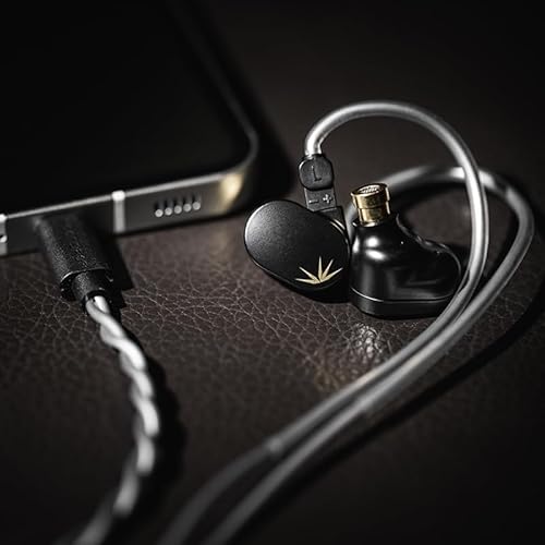 Moondrop CHU II DSP Headphones High Performance Dynamic Driver USB-C In-ear Monitors TYPE-C With microphone earphone Moondrop CHU II DSP Headphones High Performance Dynamic Driver USB-C In-ear Monitors TYPE-C With microphone earphone