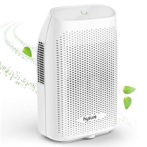 Best Dehumidifiers Canada Best Cost