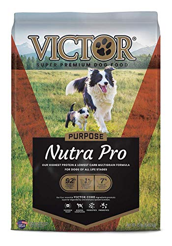 best dog food to prevent gas