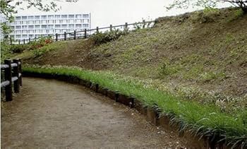 Amazon.co.jp: 土留鋼板 とまるくん 支柱と鋼製キャップのみ 10