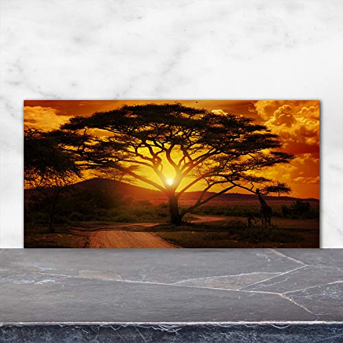 Fond de hotte verre paysage orange pour protéger vos murs - 2