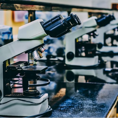 The Chee-Tash Podcast #47 - Adam Marcus