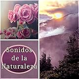  Sonidos de la Naturaleza – Musica de Meditacion, Wellness y SPA, Relaje Su Cuerpo y Su Alma Usando Aromaterapia, Enciende una Vela, Yoga, Reiki