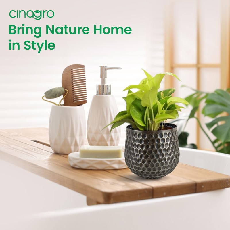 Image of CINAGRO Metal Planter Pot for Indoor Plants, Round Decorative Flower Pot, Rust-Resistant, Modern Plant Holder for Home, Balcony, Office (11.43 x 11.43 cm, Metal Nector)