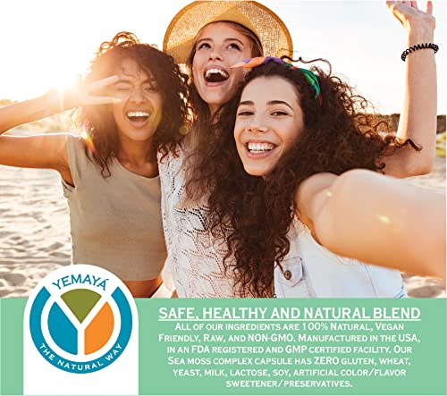 Yemayá Organic Sea Moss Capsules with Bladderwrack & Burdock (60 ct) — view 7