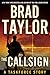 The Callsign (Taskforce Story, A)