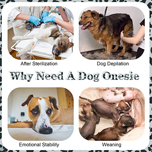 Kuoser Dog Surgery Recovery Suit - Image 4